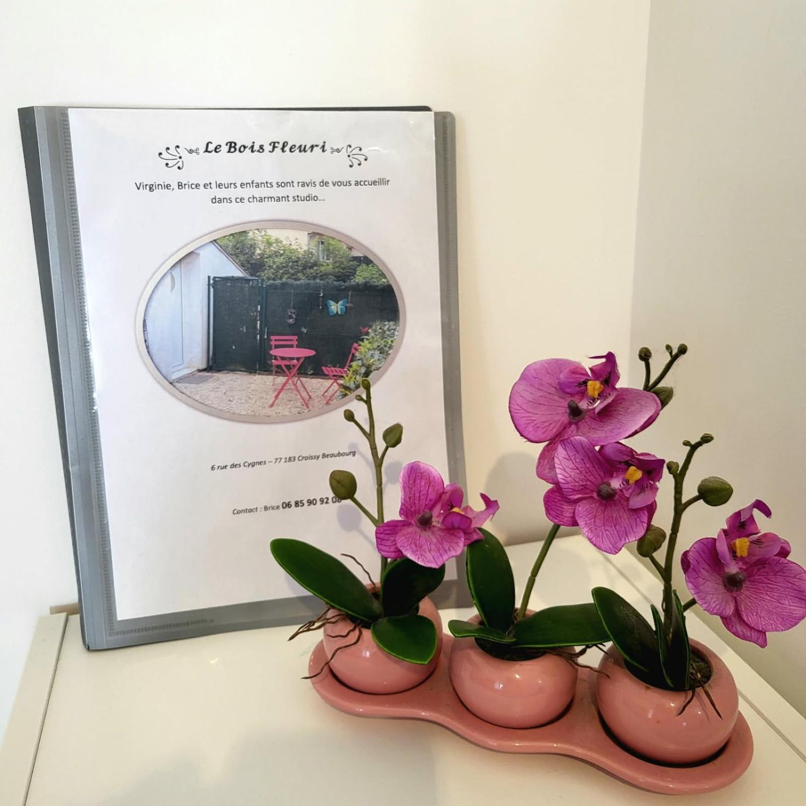 Maison Studio Le Bois Fleuri Croissy-Beaubourg Extérieur photo